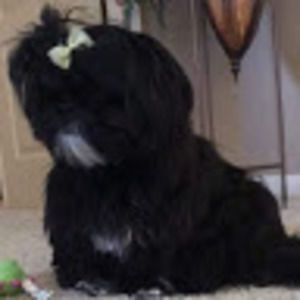 Meet your Posher, Emma